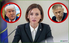 Veronica Dragalin îl compară pe Nicanor Ciochină cu Donald Trump